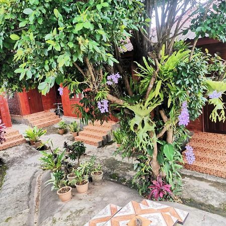Muang Phônsavan Kongkeo Guesthouse מראה חיצוני תמונה